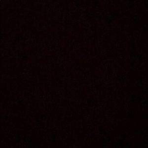 Meet your Posher, Karson